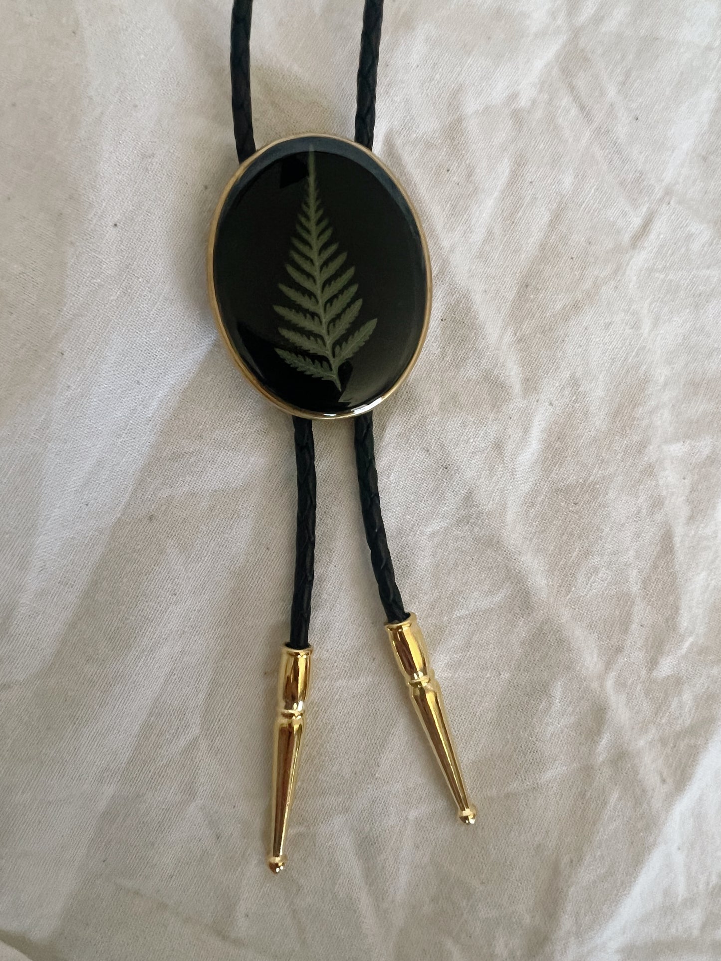Fern
