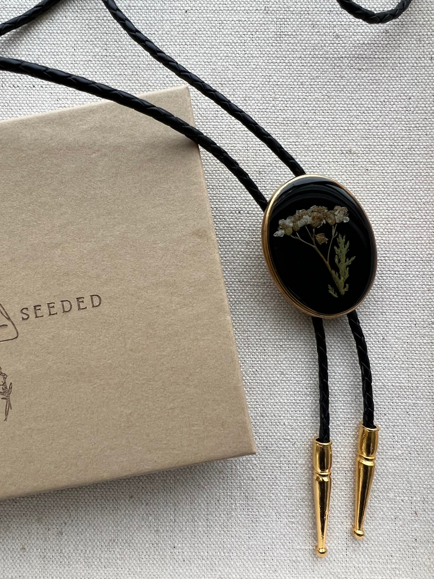 Yarrow | Black